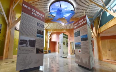 New Blog Page/Mailers 1.2.25 10 Bringing the Berkshires Inside: The Greylock Glen Exhibit